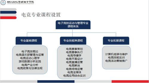 電子競(jìng)技運(yùn)動(dòng)與管理專業(yè)介紹 電子商務(wù)平臺(tái)開(kāi)發(fā)及運(yùn)營(yíng)方向