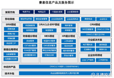 新股簡(jiǎn)析 賽意信息（300687）——電子商務(wù)平臺(tái)開(kāi)發(fā)及運(yùn)營(yíng)的潛力股