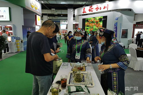 服務鄉村振興 第六屆世界硒都·恩施硒產品博覽交易會開幕